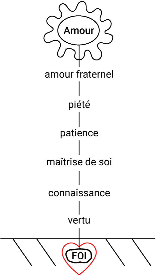 image représentant une fleur germant de la foi à l'amour par la vertu, la connaissance, la maitrise de soi,la patience, la piété, l'amour fraternel et l'amour